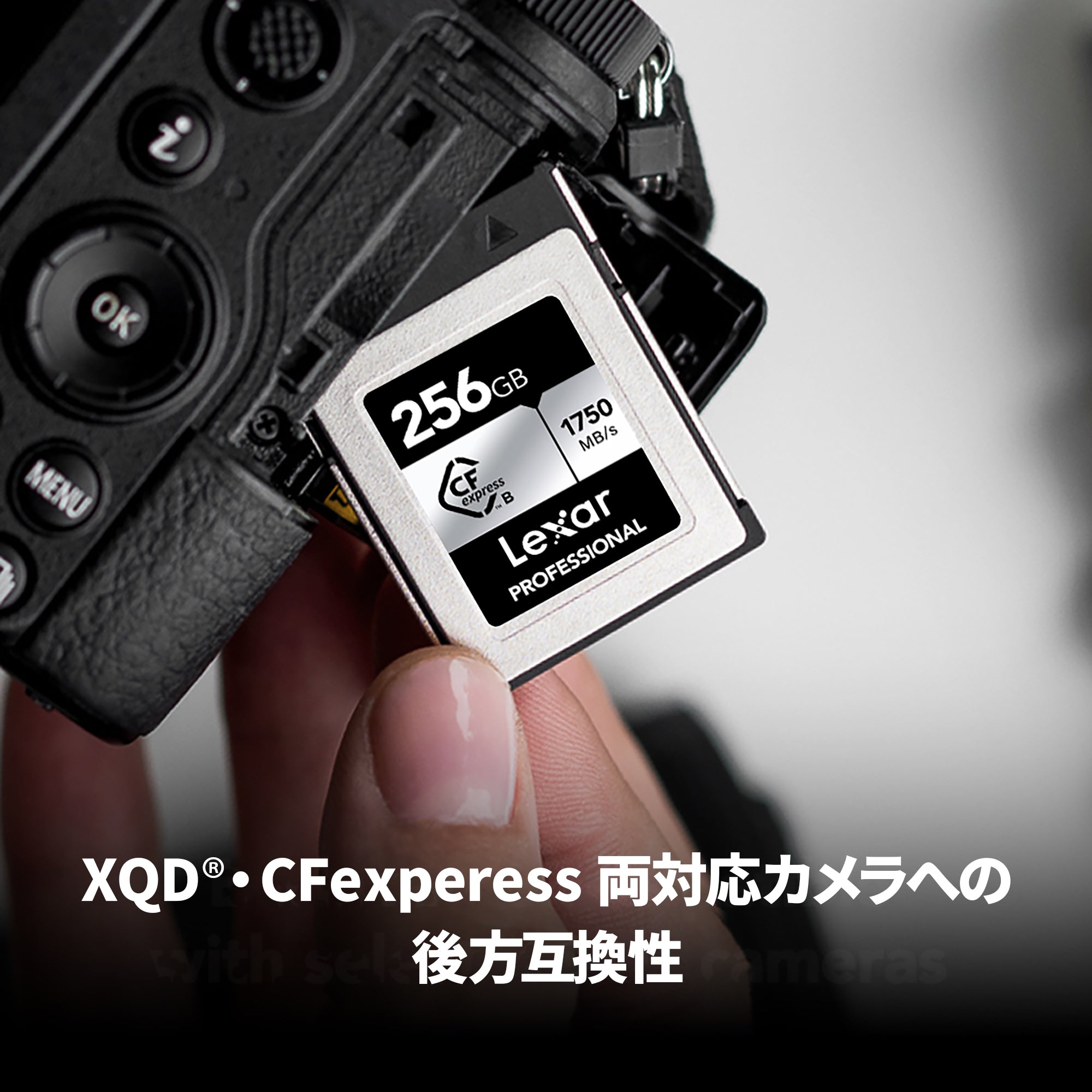 Lexar Professional CFexpress Type-B 256GB LCXEXSL256G-RNENG
