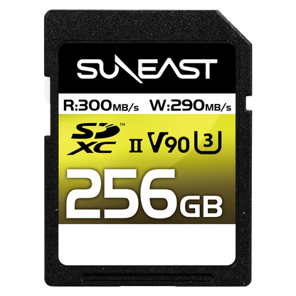 ULTIMATE PRO SDXC UHS-II Card【V90】256GB