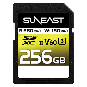 ULTIMATE PRO SDXC UHS-II Card【V60】256GB