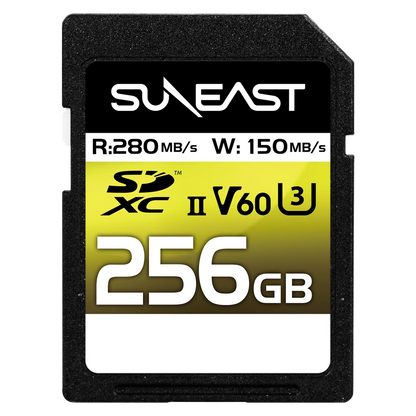 ULTIMATE PRO SDXC UHS-II Card【V60】256GB