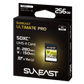 ULTIMATE PRO SDXC UHS-II Card【V60】256GB